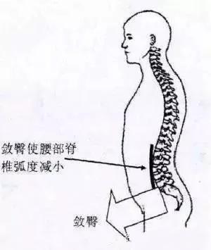 腰敛臀学问大,养生技击全靠它