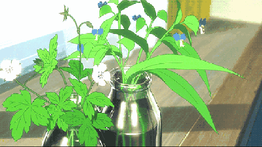 携手vivo共筑绿色心愿 |一张照片换一台vivo x9