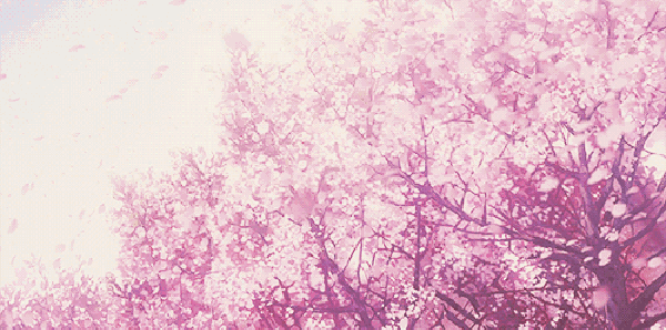 山东好时节| 三生三世,十里樱花——我在齐山樱花节等