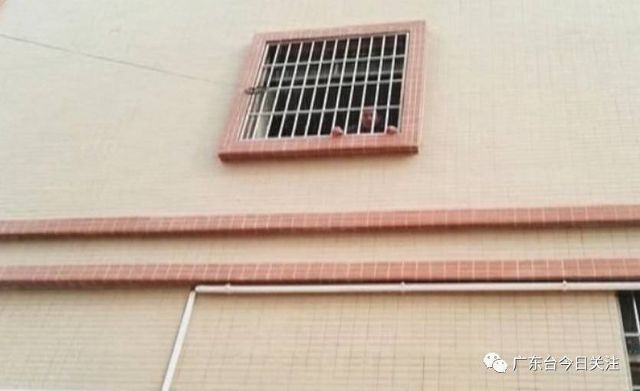 惠州仲恺消防中队官兵到场后,发现该出租楼二楼有一名男子正站在窗边求救。他说自己在里面困了9天,且一直未进食。被困男子称,房东将他关在屋里,里面没水没电。于是,消防官兵对出租屋周边进行查看,一看,吓了一跳,原来外面的门和窗全部都被铁棍顶住而且焊死,即使有钥匙都没用。消防官兵马上联系房东,15分钟后,他抵达了现场。
