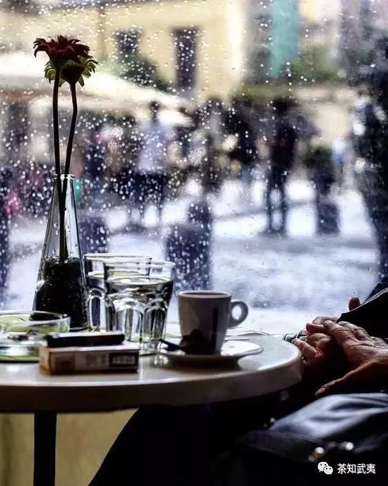 武夷岩茶|听说下雨天,适合喝茶和想念