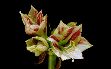 做人如水,你高,我便退去