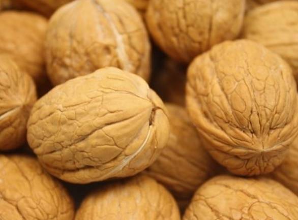 核桃的排名_文玩核桃品种排名图