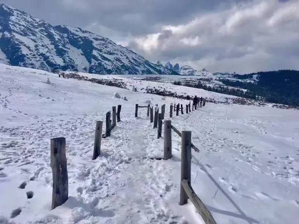 丽江人好不容易熬过了冬天,却差点冻死在春天