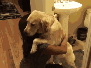 动态图片,道歉认错gif闪图,当前第1页 我给你跪下了,真的对不起 亲爱