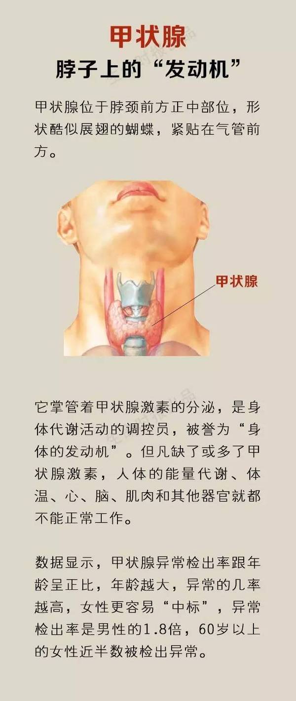 看懂甲状腺疾病,出现这几个症状说明你要看医生了!