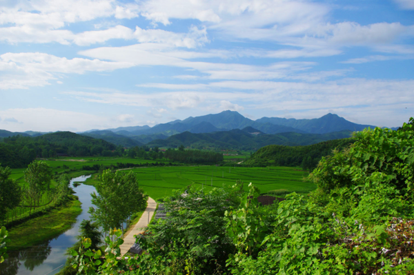 麦岭镇岗西人口_西韩岭学校图片(3)