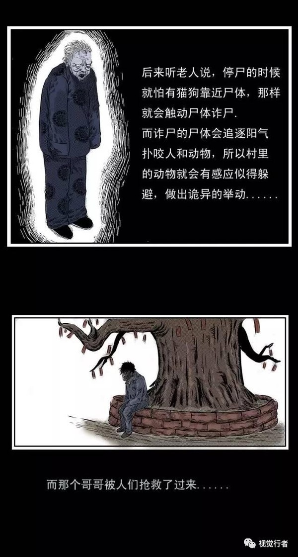 每日漫画故事《诈尸》猫狗千万不要靠近尸体