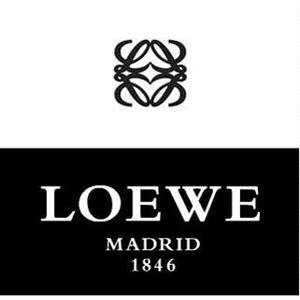 2017新款罗意威(loewe) 包包款式大全