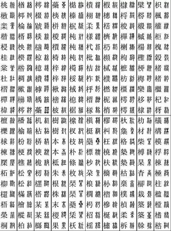 木加偏旁组新字 搜狐网