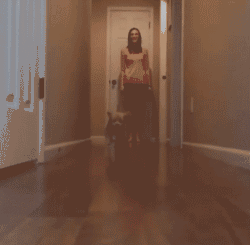 笑话频道-手机搜狐