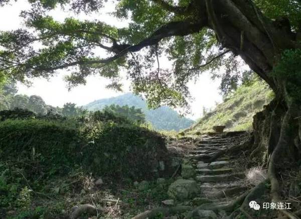 踏青,赏花,听海.来连江,满足你对春天所有的向往