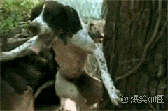 搞笑动态图片:这样的女票还是尽早分手吧