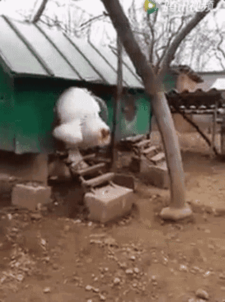 320_428 竖版 竖屏