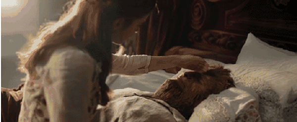 在受伤之后被处理伤口时,还嗷呜嗷呜地喊着疼呢,赌气把头转到一边