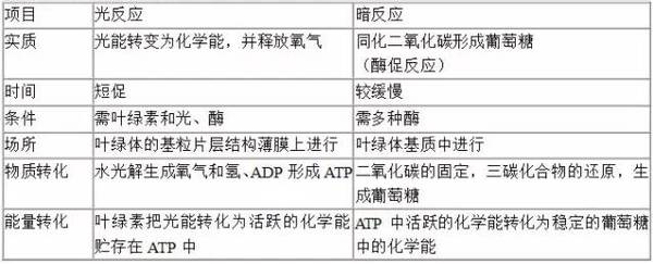 有氧呼吸和无氧呼吸对比