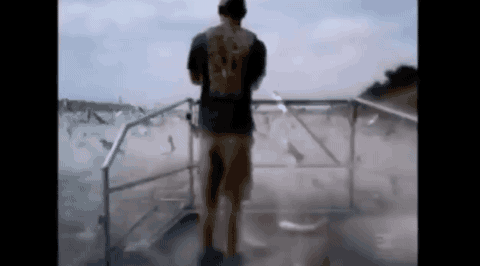 危险的外来鱼种之一,它们生长迅速,体形庞大,在五大湖中几乎没有天敌