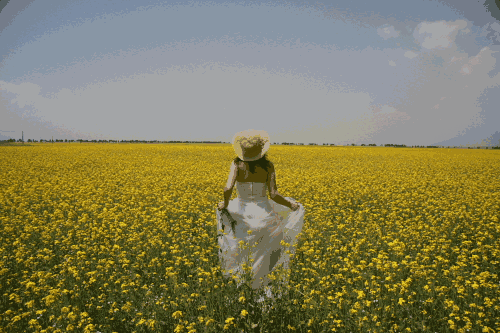 又到了油菜花开的季节,去这9处花海感受最撩人的春天吧!