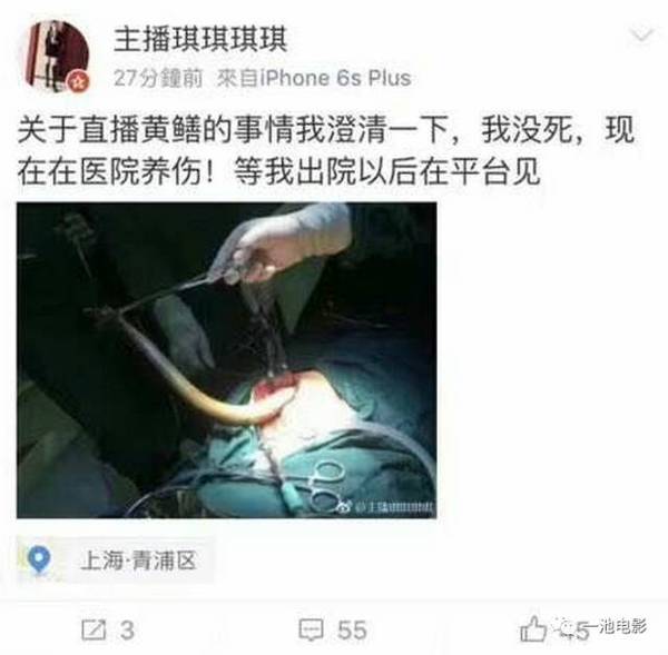 "黄鳝女主播"是什么梗!