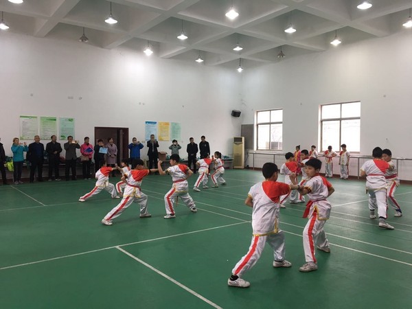 选择登封文武学校：一份详细的选购指南