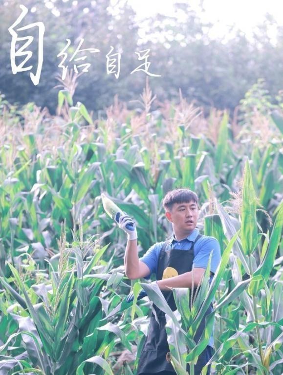 向往的生活很用心,有花有酒,这个真人秀值得表扬