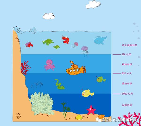 生活着各种海洋生物,而这些海洋生物会选择不同的海洋深度作为它们的