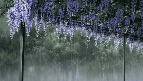 一场雨,让北京拥有了这八处绝世美景!