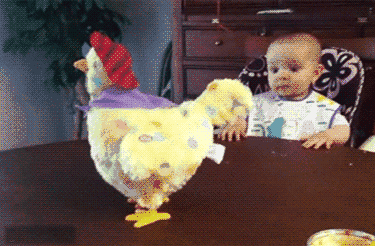 周末了看看爆笑段子和美女解解压吧