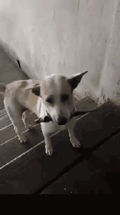 400_714 竖版 竖屏