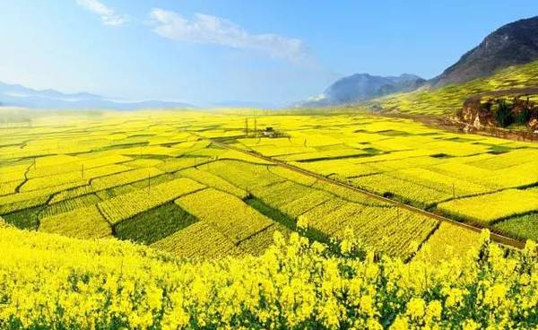 汉中人口2017_汉中人口密度图