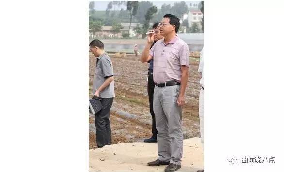 茨营镇总人口_曲靖麒麟区茨营镇图片