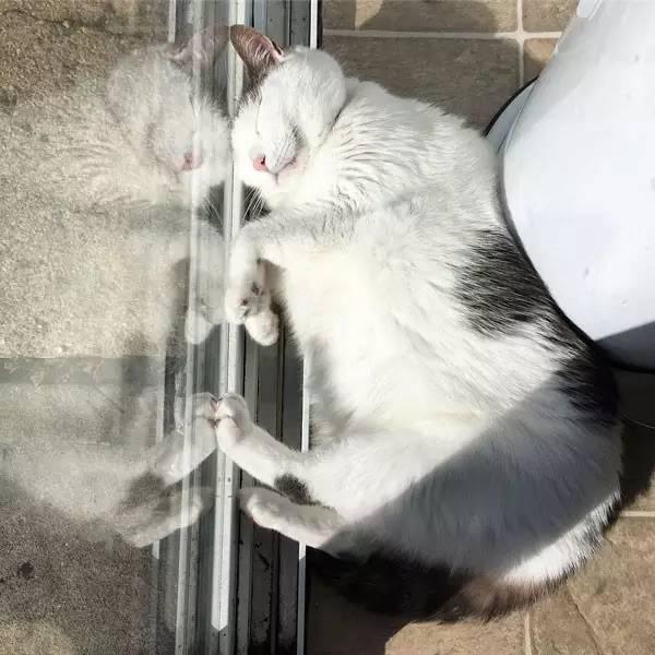 坦诚相见.
