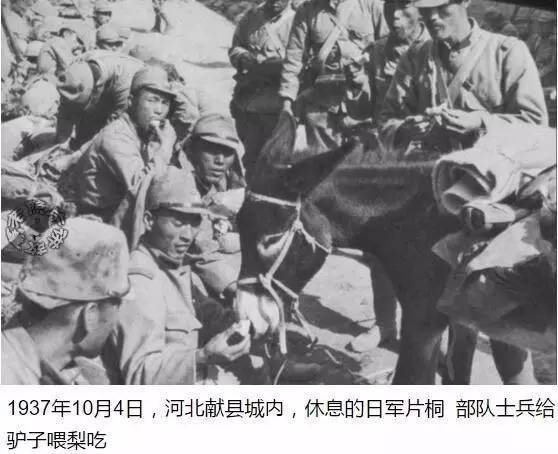 【实拍老照片】1937年日本鬼子在河北