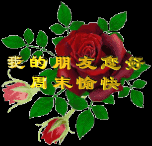早上好周末到太太太太太美了?忍不住给朋友们!