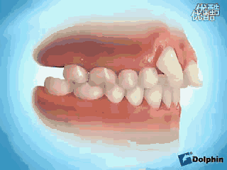 320_240 