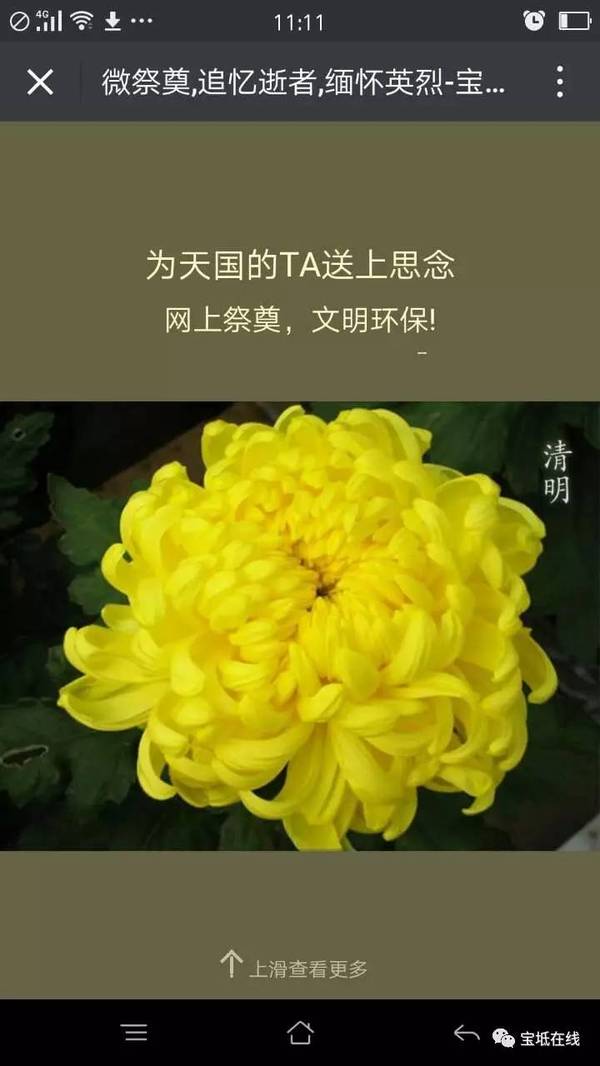 清明节可以网上祭奠,缅怀逝者!