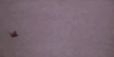 369_185