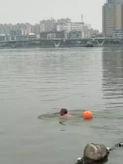 昨天这种鬼天气,一名老人竟然在射阳河里游泳!