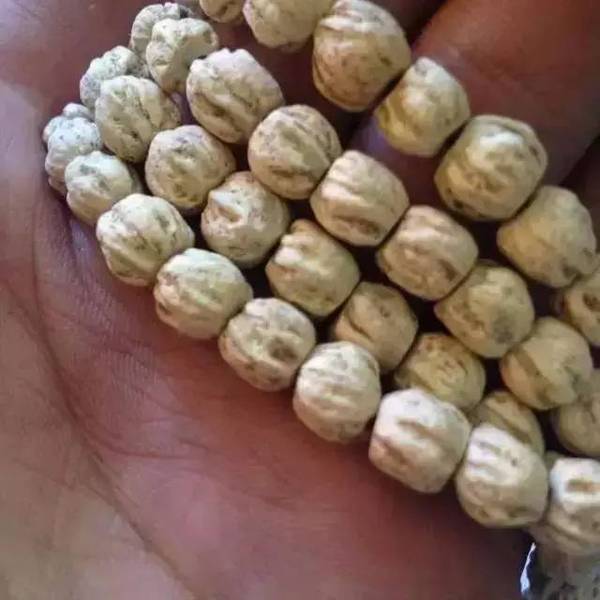 菩提圈杀出的黑马,包浆居然比金刚还红润?