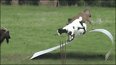 爆笑来袭:奥巴马很有默契的握手-笑话频道-手机搜狐