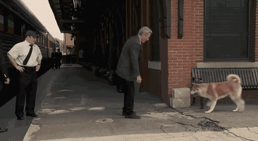 读一万本书,不如养一条狗