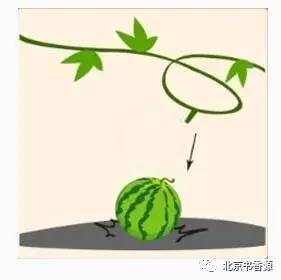 动物头像猜成语_看图猜成语(2)