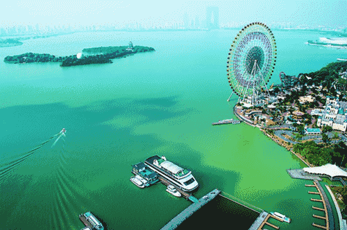 因为金马 沉醉这道城市风景线