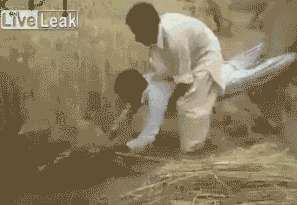 搞笑内涵:我身上的这 件衣服.它今天已经3岁了!