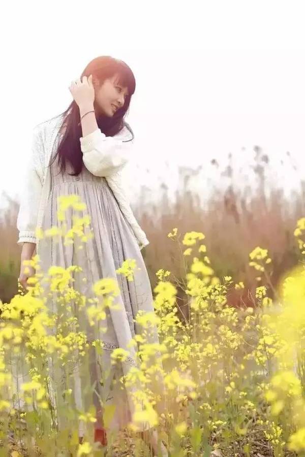 the story of spring 当油菜花比较稀疏,矮小时 以油菜花作为前景低