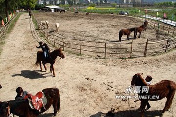 跑马场面积大约需一二十亩左右,附近必须带有工作间,可供改建成办公