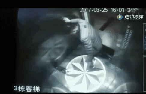 男子电梯内残忍虐杀小狗!网友:他伤害的不仅仅是动物!