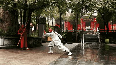 印度少林武僧得中国方丈亲传!禅武医文化集大成!