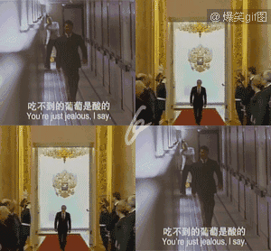 aaa),全平台动图首发 10000张2b,恶搞,傻缺,内涵,美女,萌宠动态图一次