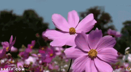 伴着习习春风,大地开始万物复苏,一年一度的减肥大业也该被大家提上